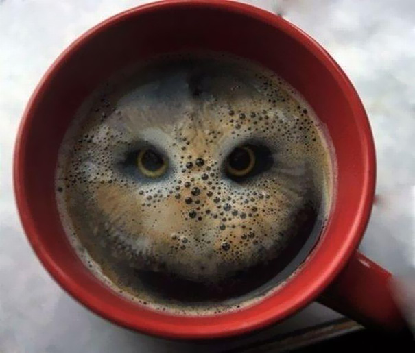 optical-illusions-1